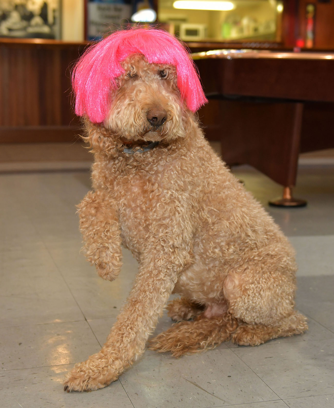 Big Wigs Susan G. Komen